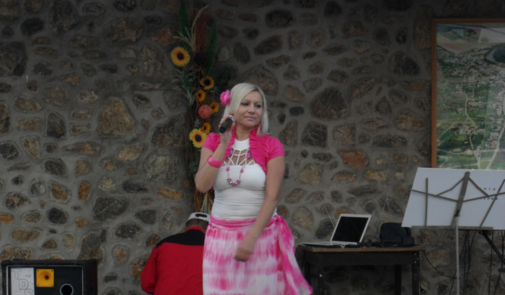 Medzibodrožský kultúrny festivál 2014