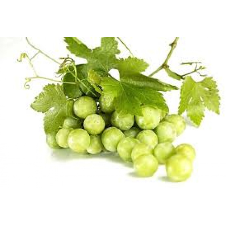 Zlaté žltnutie viniča- metodické usmernenie